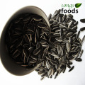 New Crop Sunflower Seeds Type 5009 Market Price In China